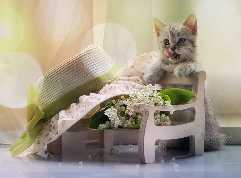 Летнее...photo preview