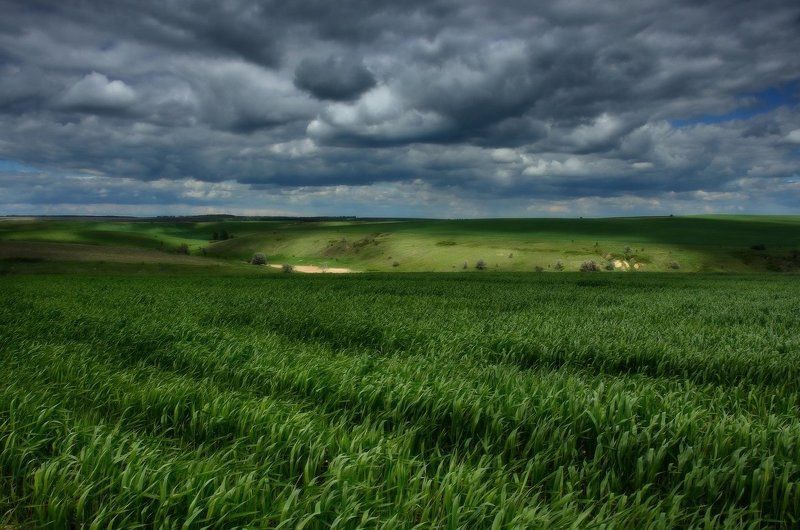 На хлебных поляхphoto preview