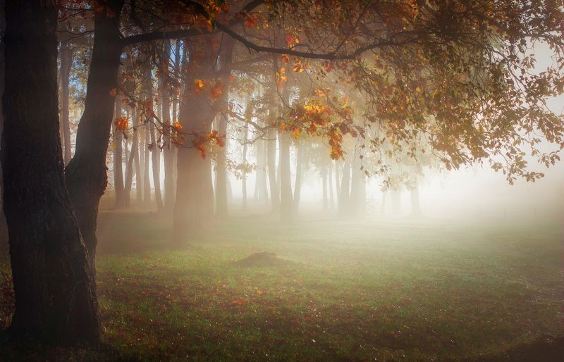 ********photo preview