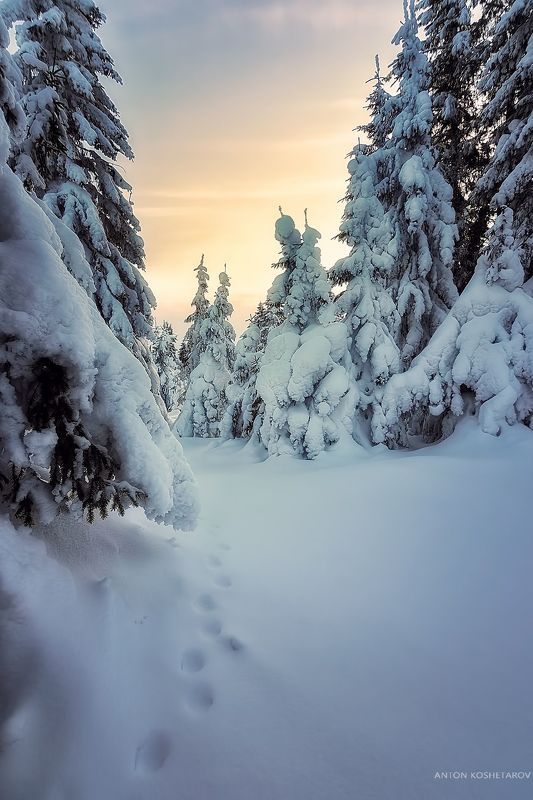 Зимними дорогамиphoto preview