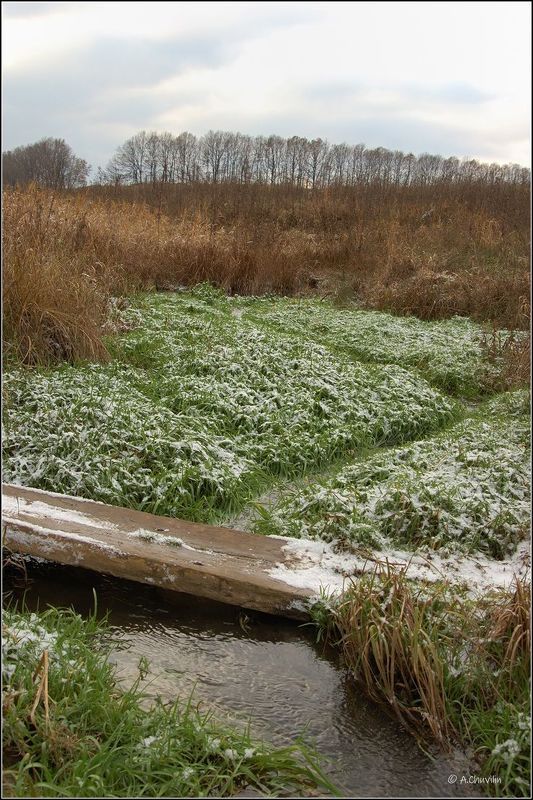мостик,ноябрь,ручей,первый,снег Ноябрьский мостикphoto preview