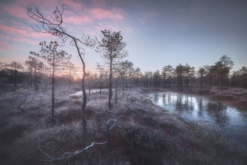 Инейphoto preview