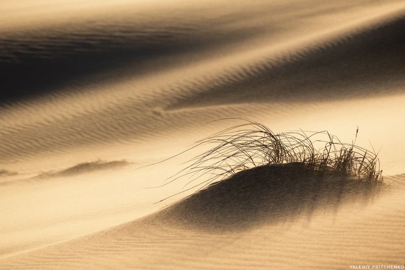 Песок и ветерphoto preview