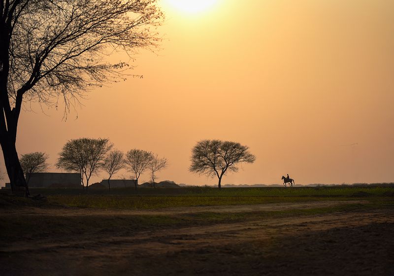 #travel #horse #rider #sunset #colors A Long journeyphoto preview