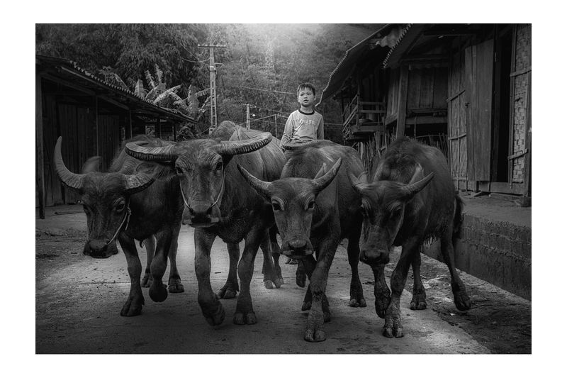 рис, вьетнам, образ, люди, терраса, фотопроект, фототур, выставка, фильм, art Rice&Icon of Vietnamphoto preview