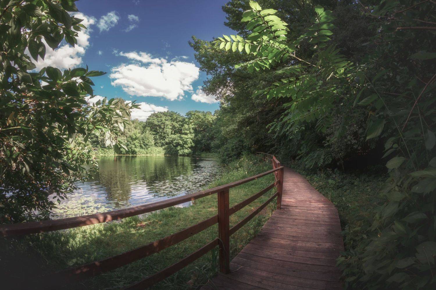 Экотропа вдоль Круглого озера. Автор: Котов Андрей , Котов Андрей