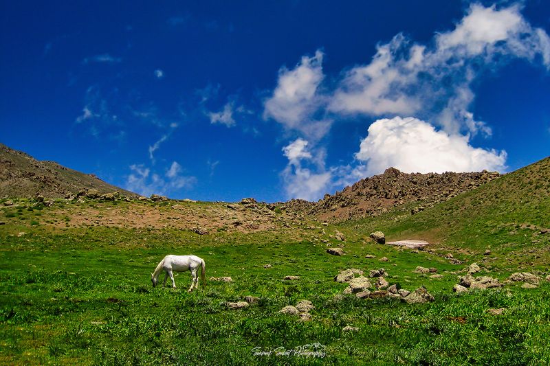 Cloudy Skyphoto preview