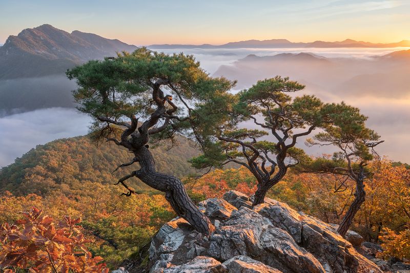 Autumn, Suspicious Triophoto preview