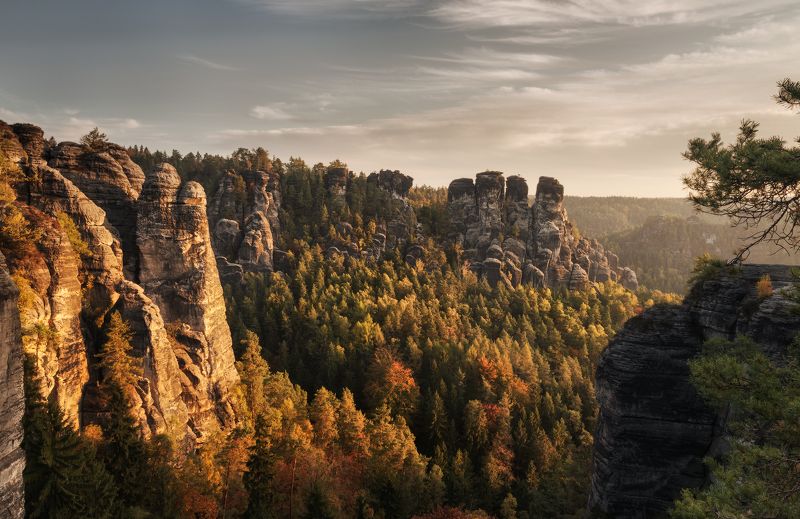 германия, гора, скалы, парк, саксонская швейцария, germany, mountain, hills, rock, saxon switzerland, deutschland Закат в паркеphoto preview