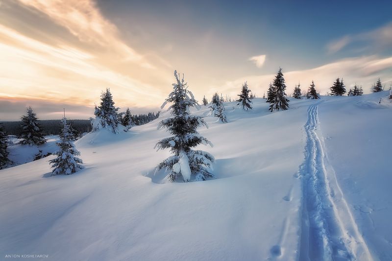 Утренняя прогулкаphoto preview