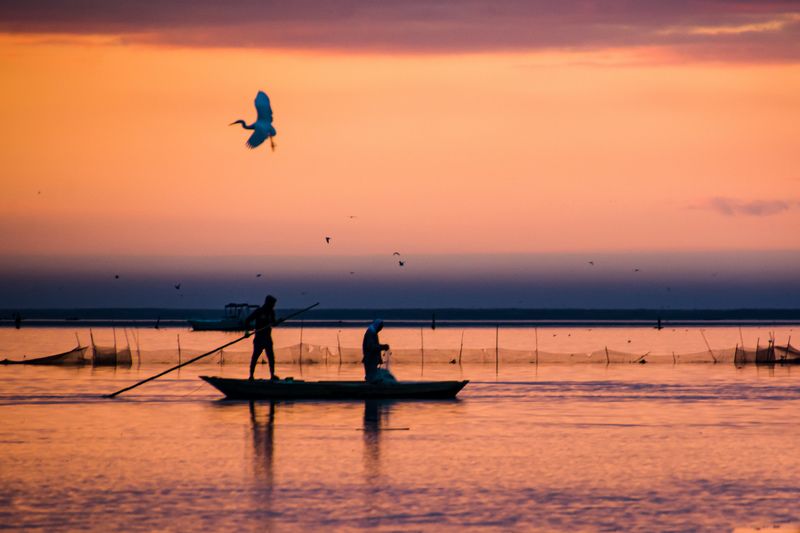 Brelus Egyptphoto preview