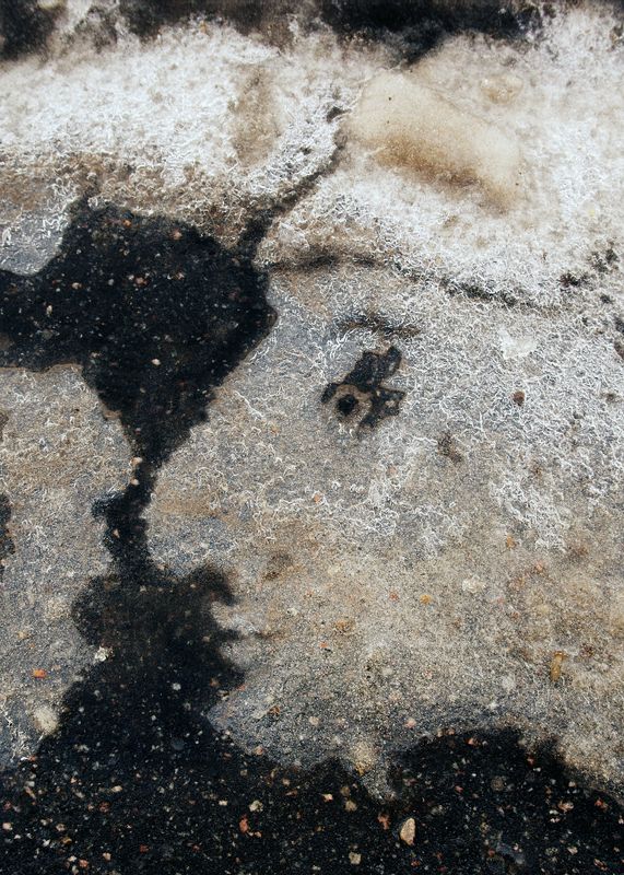 pareidolia Парейдолия (замёрзшая лужа)photo preview