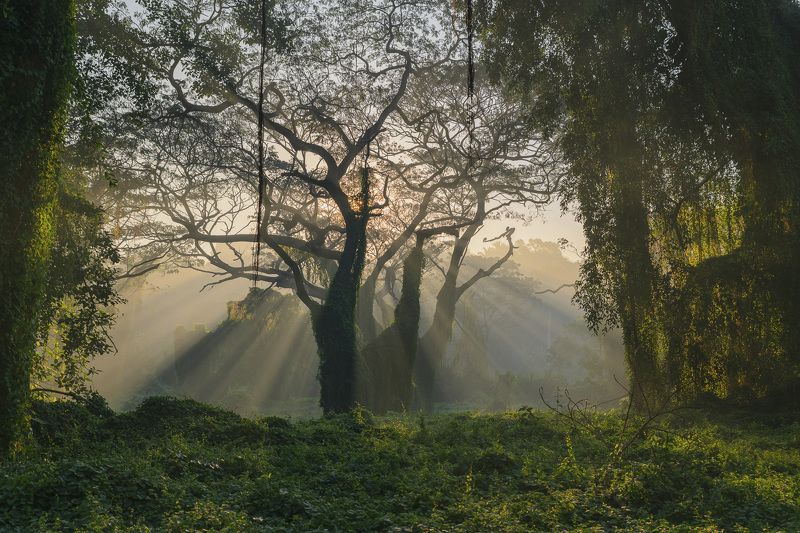 sleeping giantphoto preview
