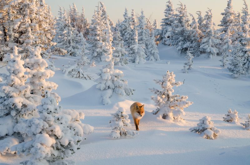 Таганай, Дальний Таганай по лисьим деламphoto preview