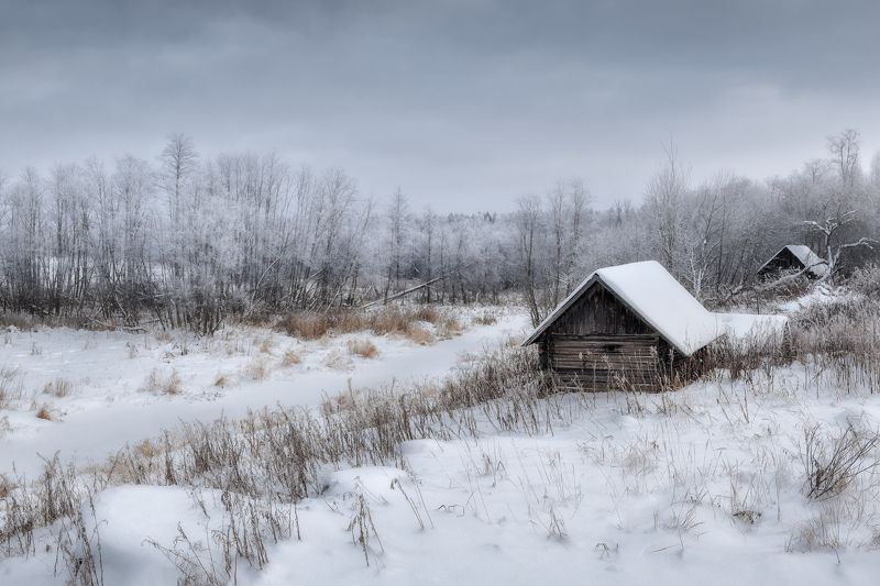 про банюphoto preview