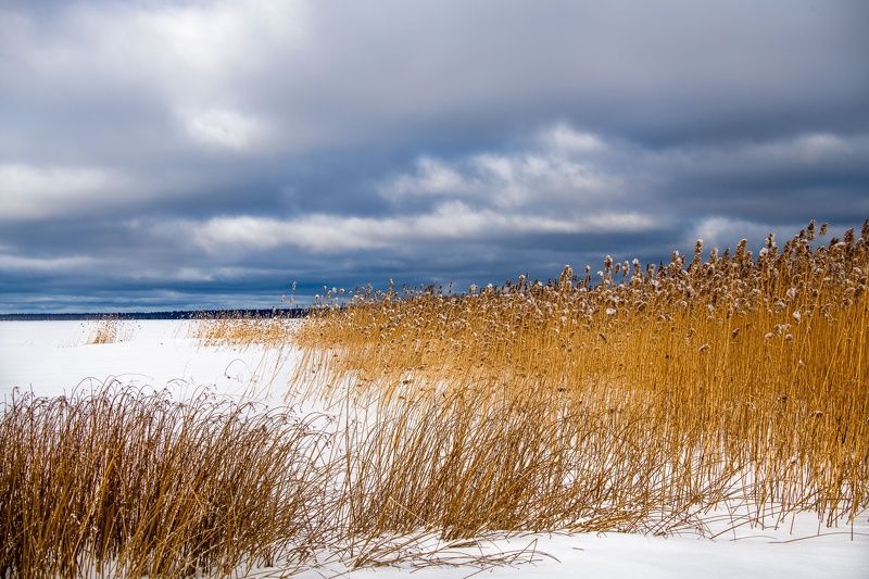 Берег Плещеева озера.photo preview