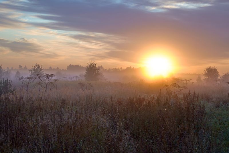 Что-то на осеннемphoto preview