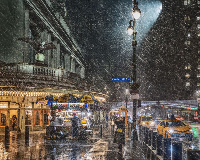 new york, Selfiephoto preview