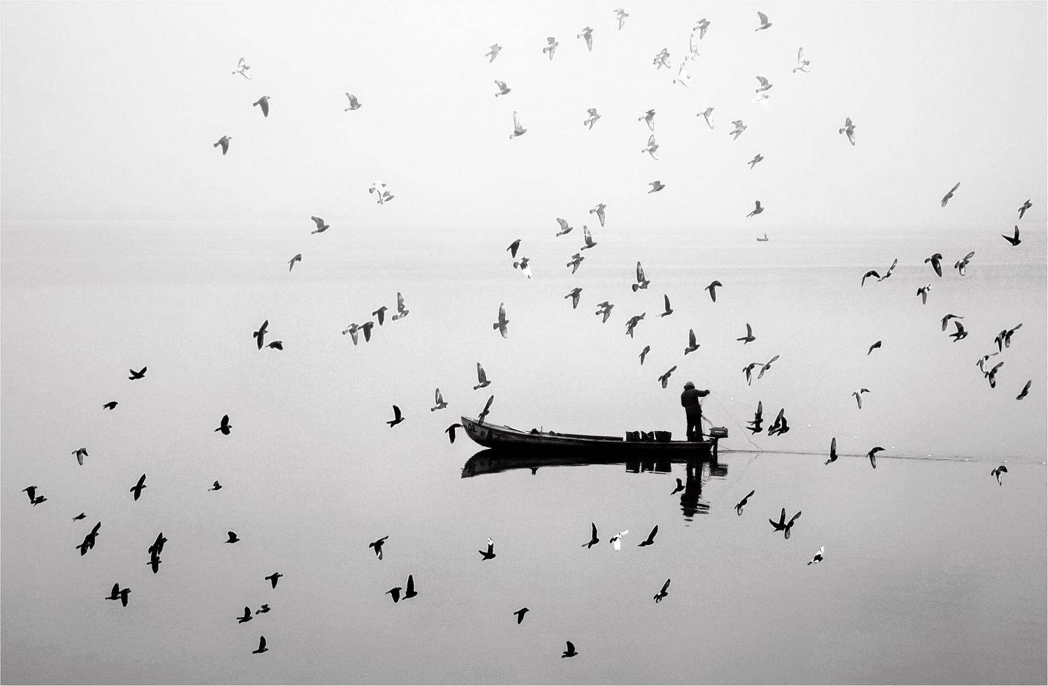 Ловец на птици. Автор: Мариана Добрева , Мариана Добрева