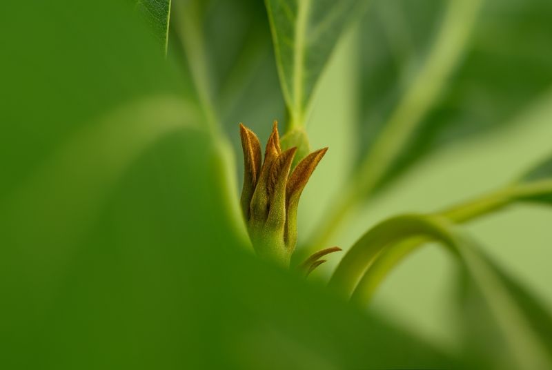 Первый день весныphoto preview