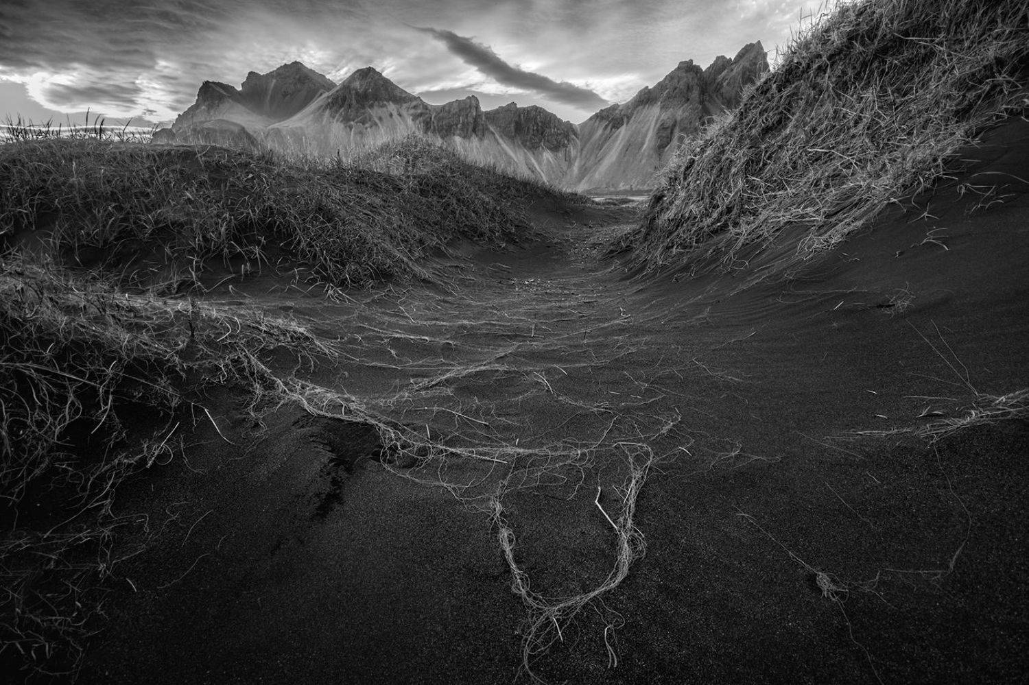 S E L L. Автор: Михалюк Сергей * , Михалюк Сергей *