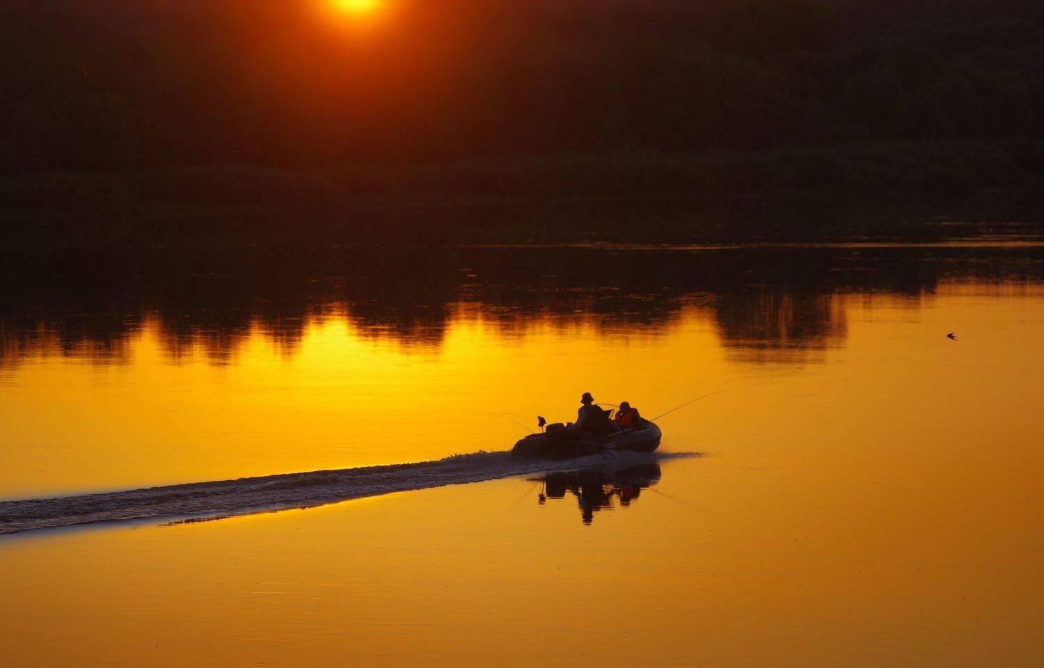 Летний вечер. Автор: Сергей Шляга , Сергей Шляга