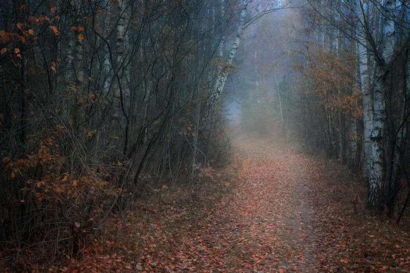 ********photo preview