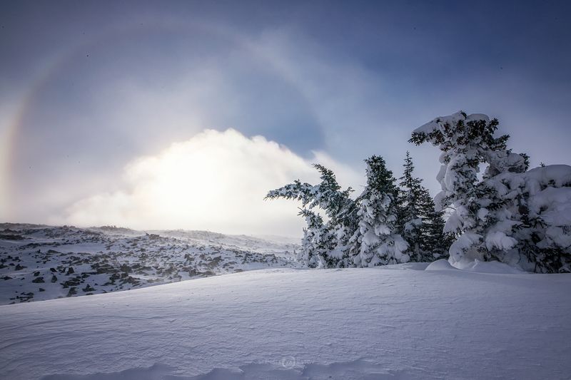 Поклоняющиеся Солнцуphoto preview