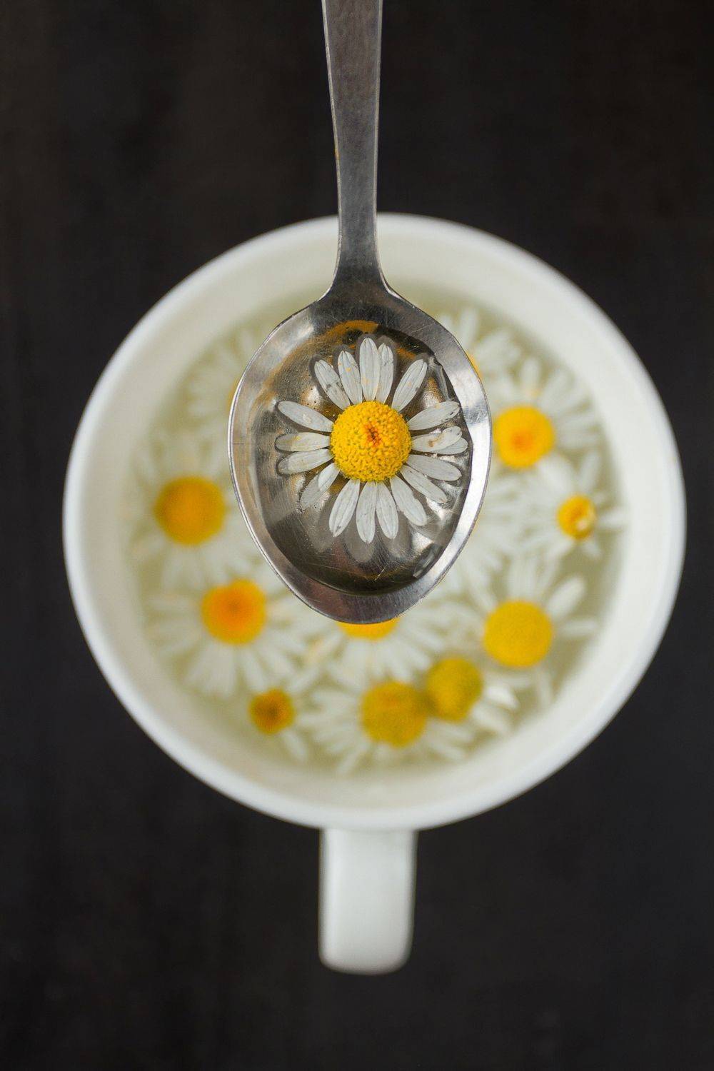 little suns. Автор: Мариана Добрева , Мариана Добрева