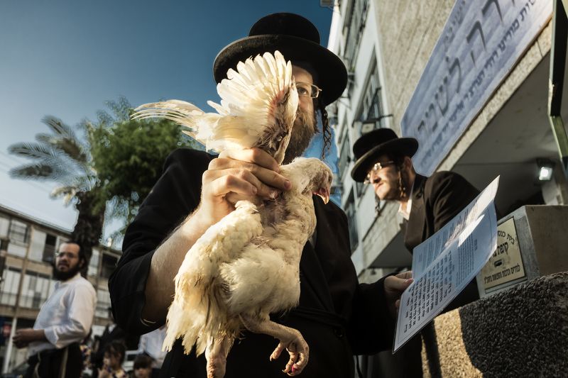 Kapparot, Bnei Brak, Judaism,  tradition, religious,  Tom Kippur,  Kapparot,  Bnei Brak Israel photo preview