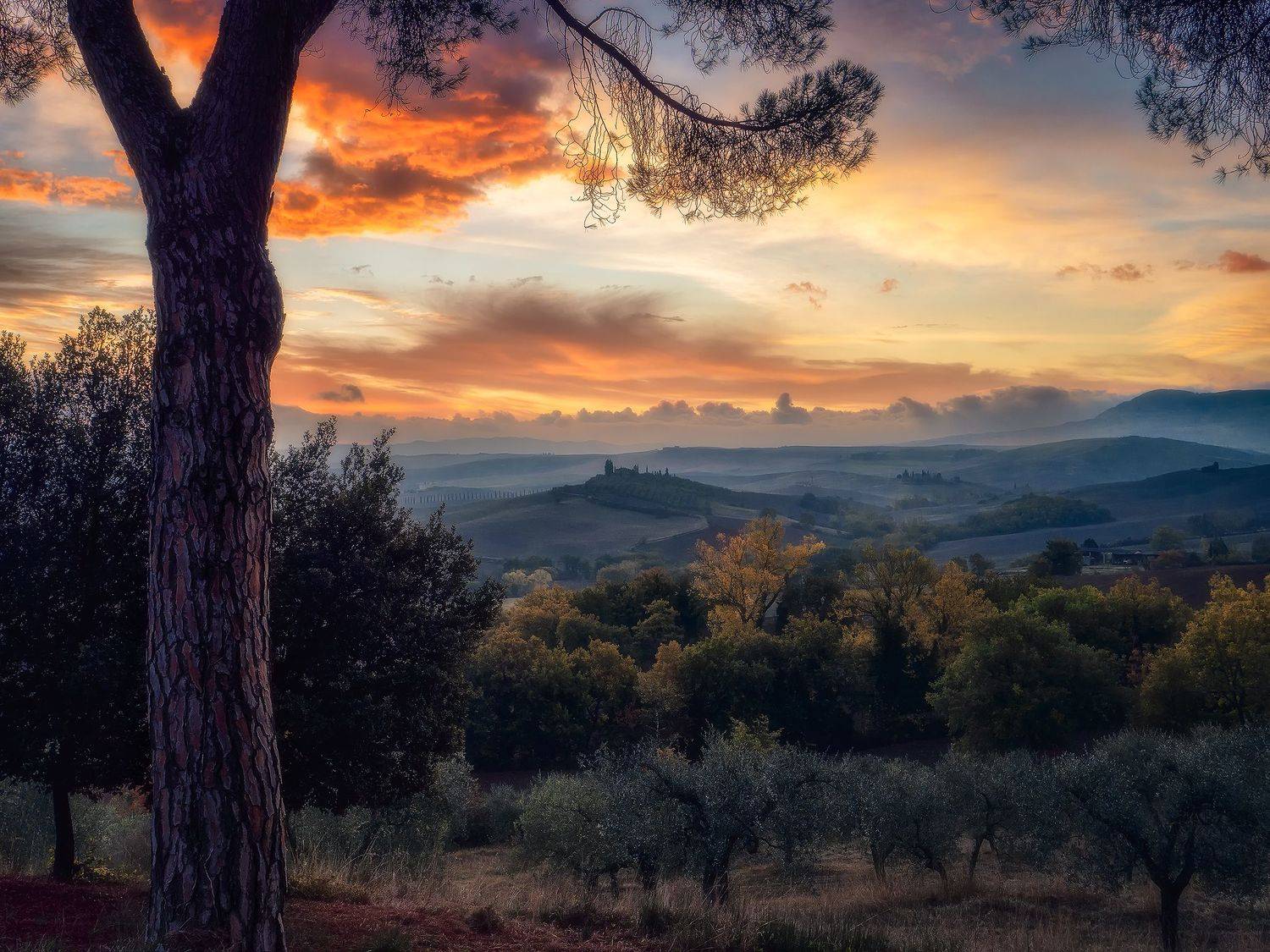 , Riccardo Caprasecca