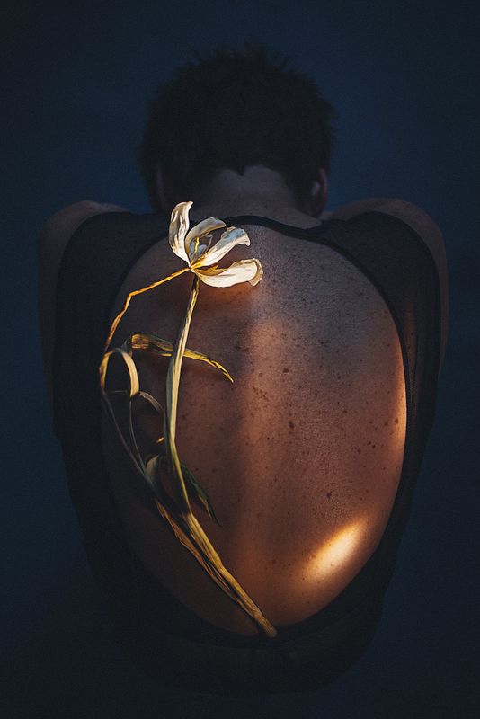 Сила и хрупкостьphoto preview