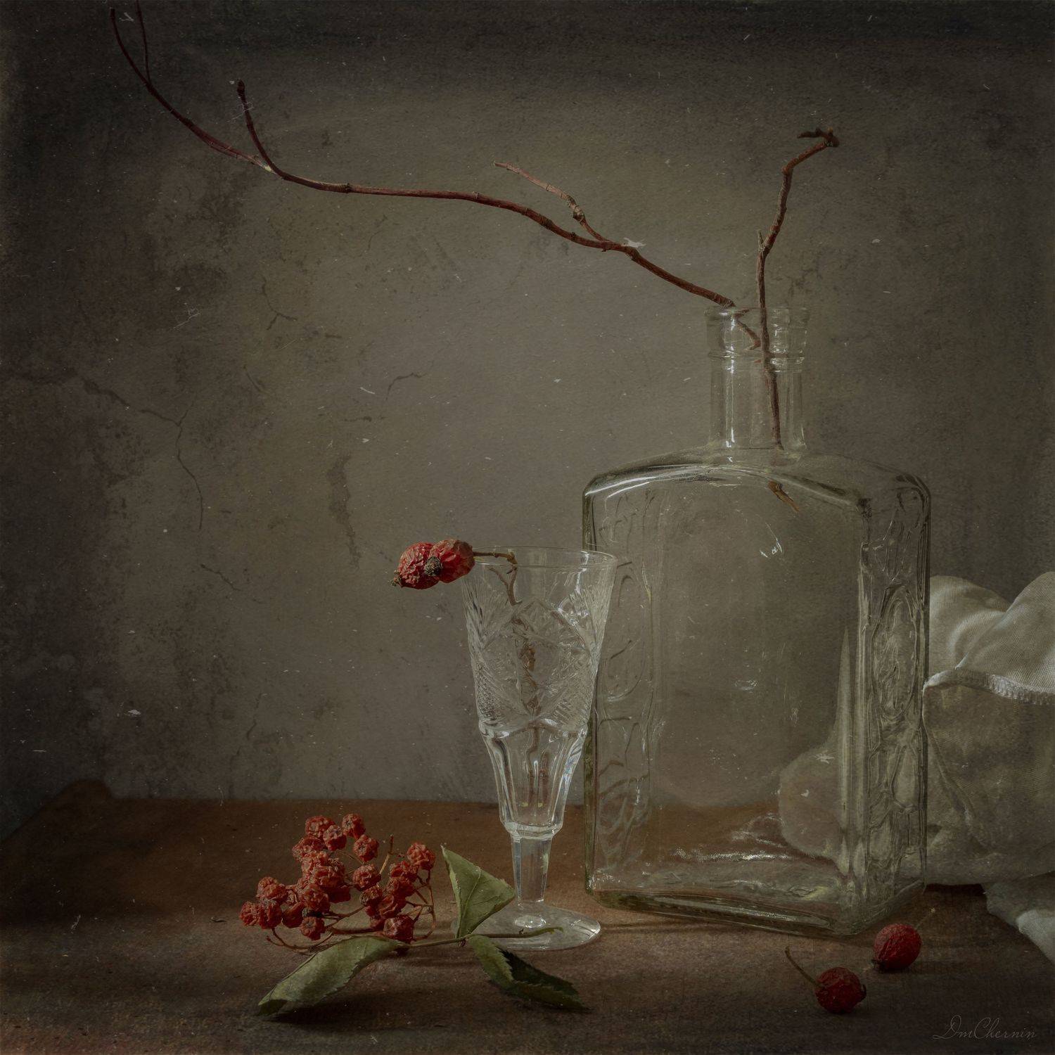 , Чернин Дмитрий