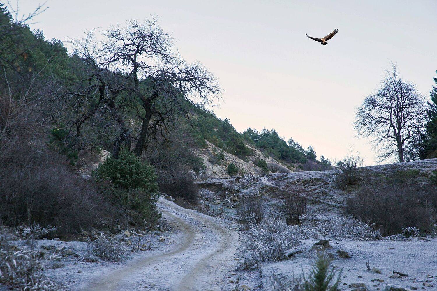 Горный пейзаж... Автор: Magov Marat , Magov Marat