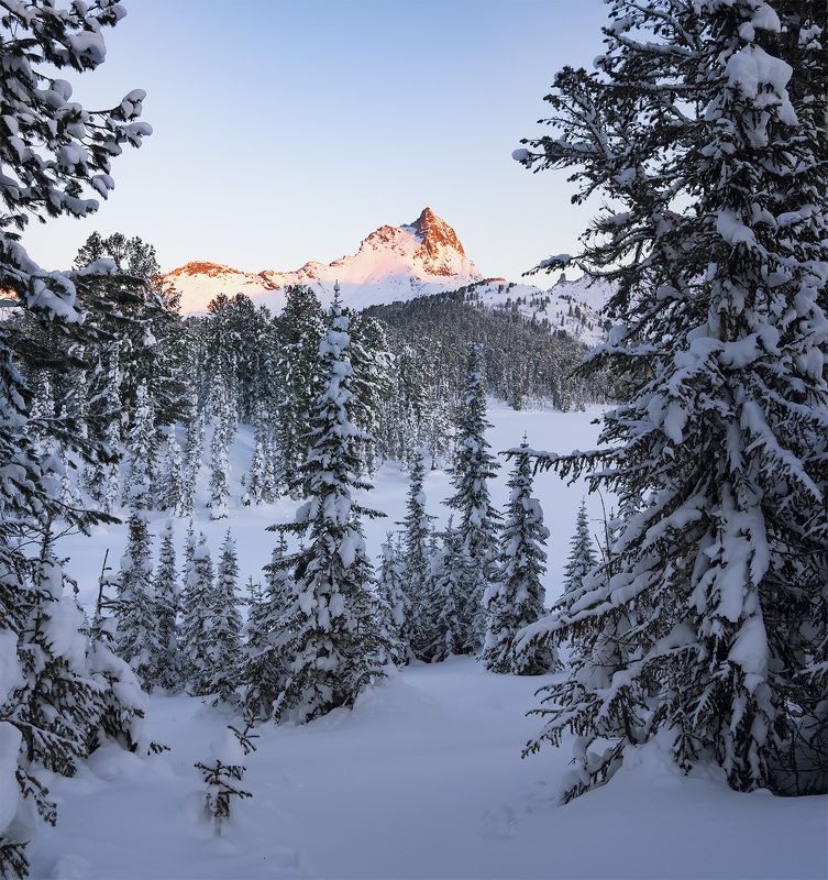 ...Утренняя Птица...photo preview