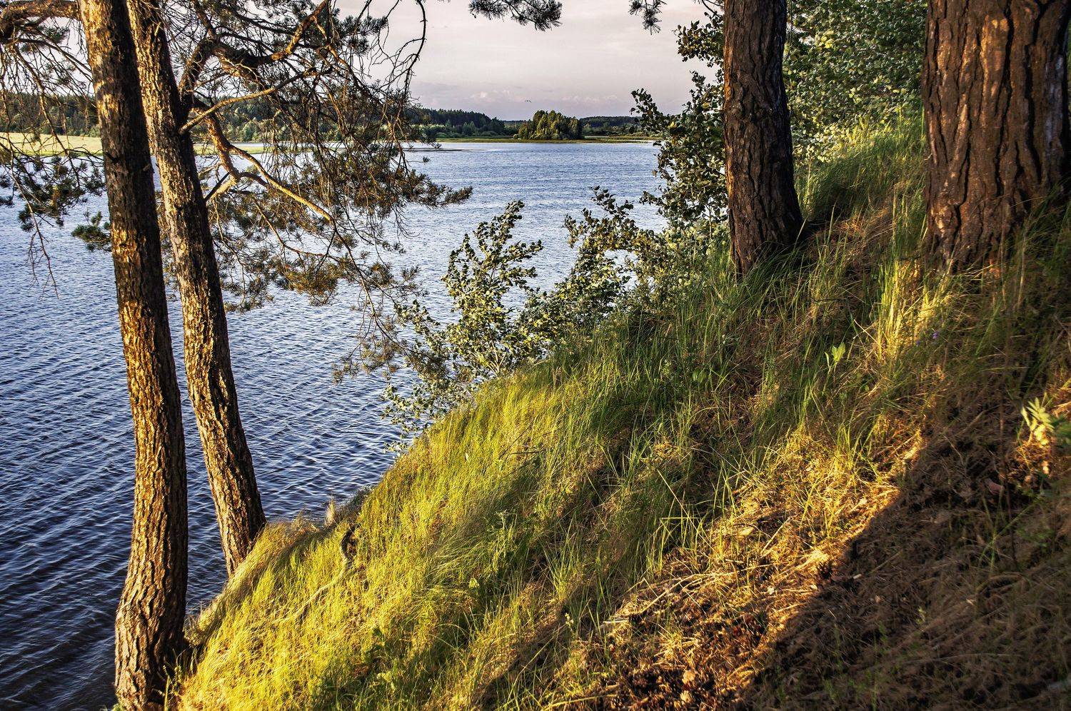 Крутой склон.. Автор: Шитов Александр лето., Шитов Александр