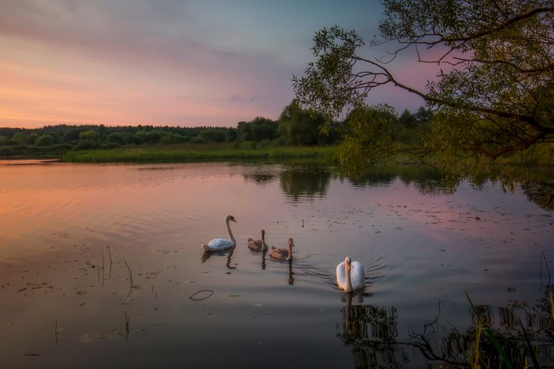 ********photo preview