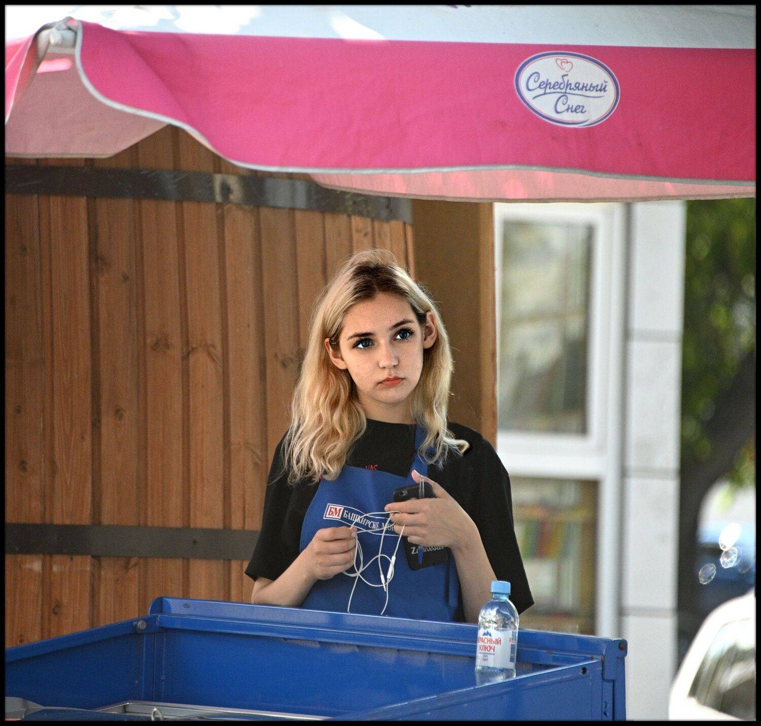 Продавец мороженного. Автор: Меднов Влад , Меднов Влад