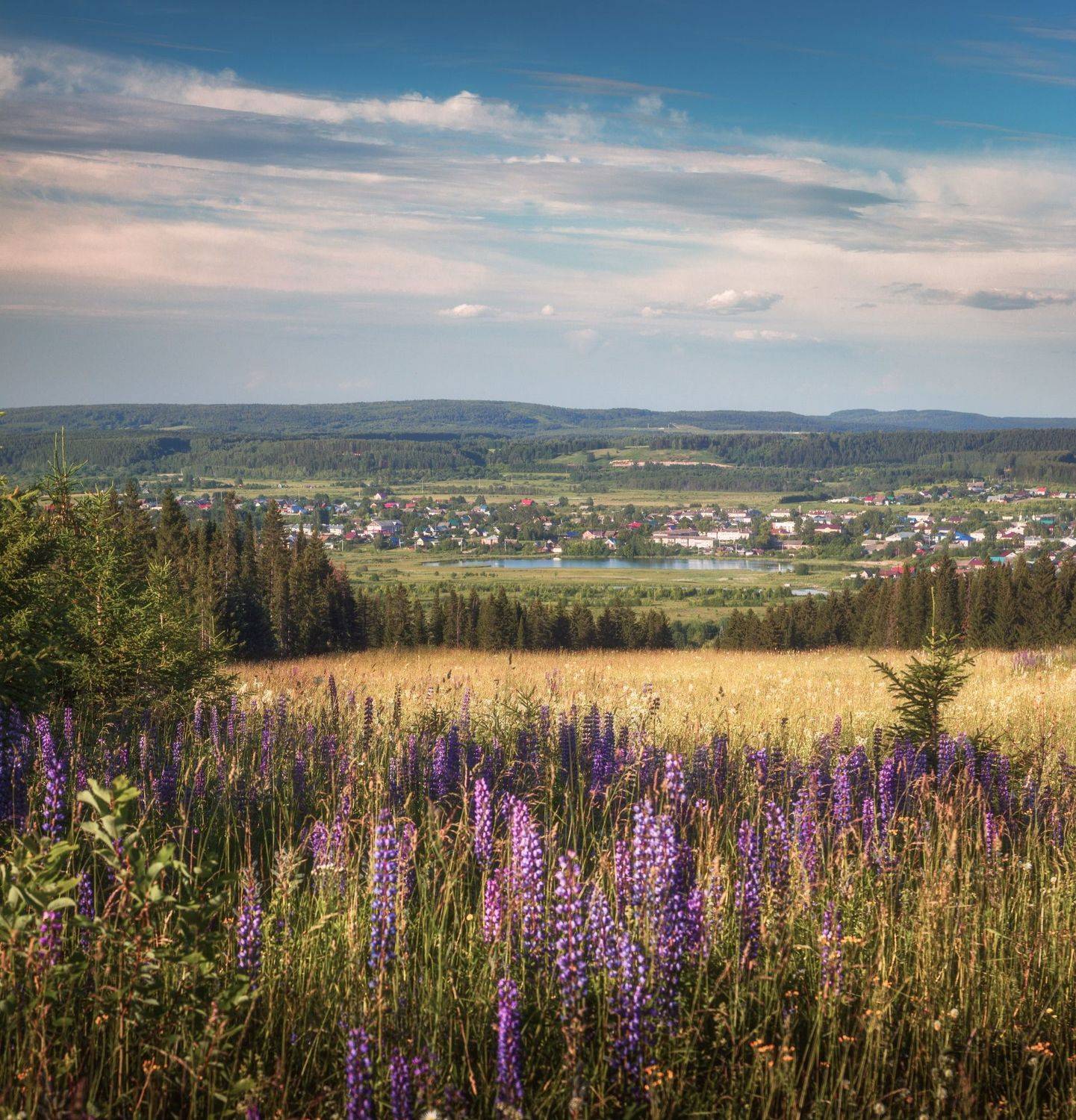 , Котов Андрей