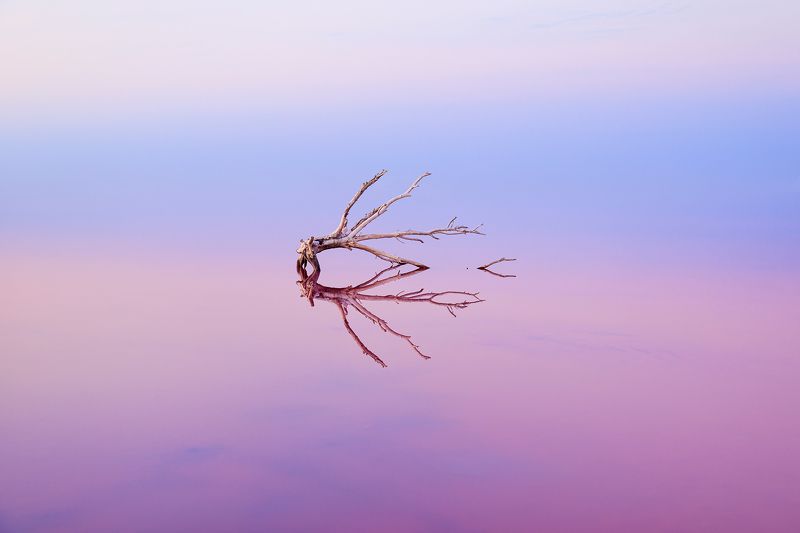 #waterscape #saltlake  Pastel aestheticsphoto preview