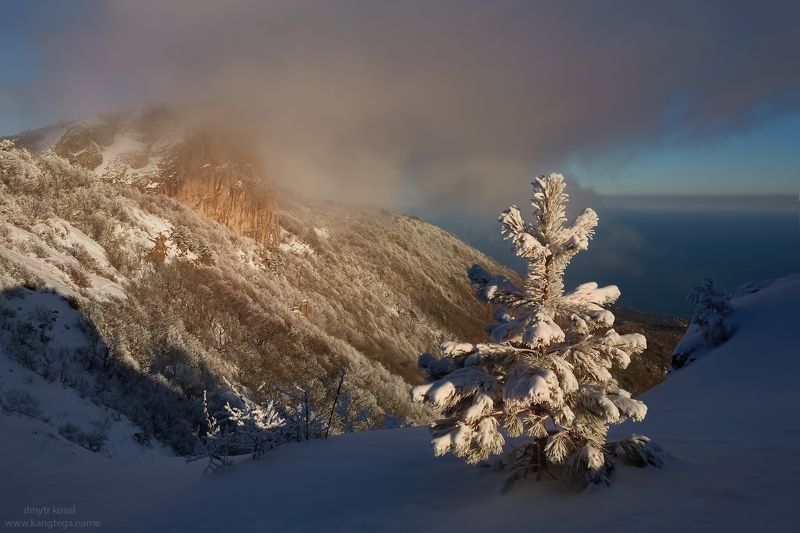дмитр коваль, гималаи и крым вне треков, пейзаж как магия Навьюженный вечер сосны и Ат-Башаphoto preview