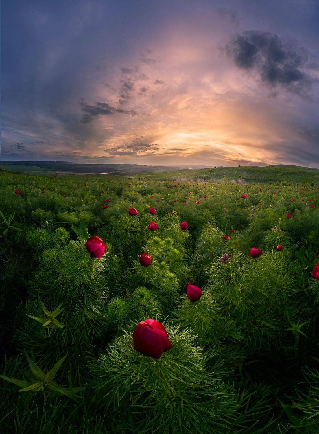 , Светлана Иванова