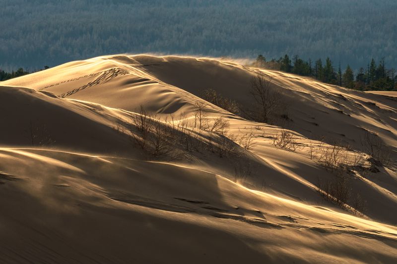 чара, чарские пески, пустыня, пейзаж, песок, бархан, забайкалье, кодар, Формы пескаphoto preview