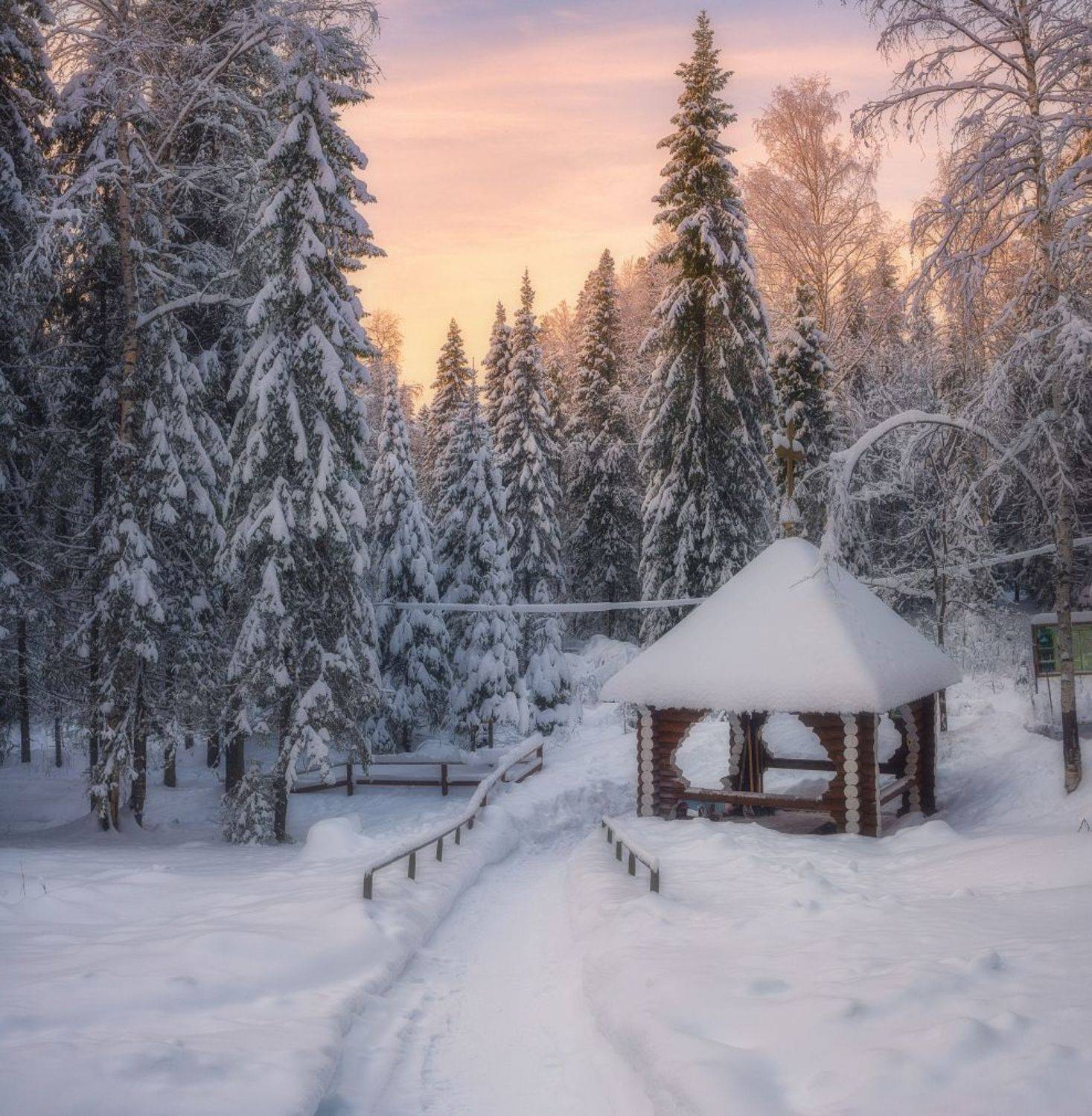 Зима на Манигоре. Автор: Михаил , Михаил