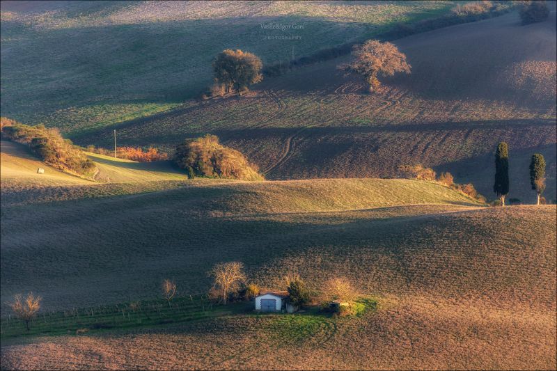 italy,san quirico d \\\\\\\' orcia,italia,поребок,италия,тоскана,pienza,кипарис,toscana,осень,tuscany,cipressi,belvede,reпьенца,тени Тосканский погребокphoto preview