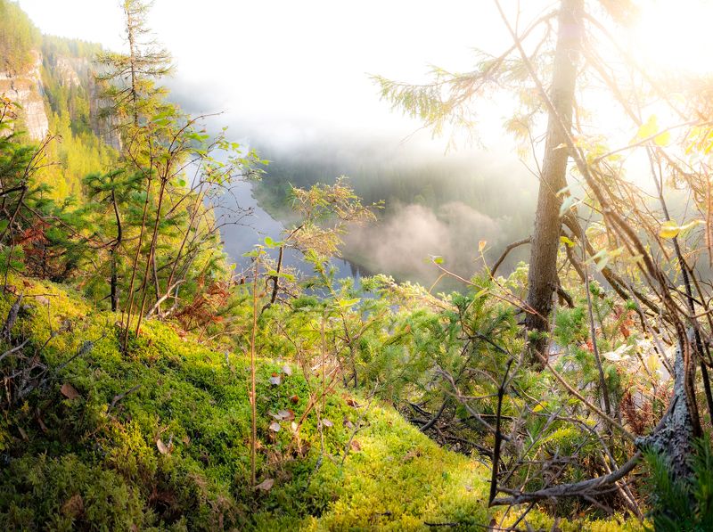 урал, пермский край, горы, леса, рассвет, солнце Рассвет на Усьвеphoto preview