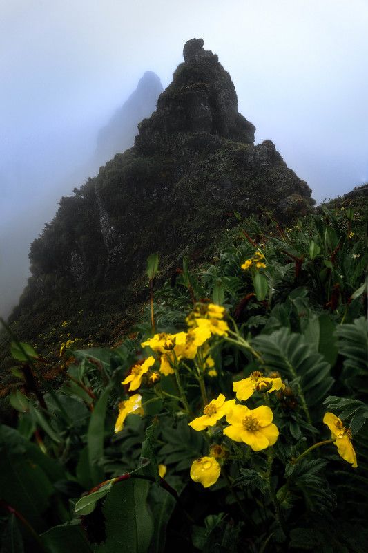 Bealockphoto preview