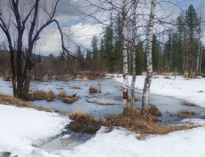 весна, природа, март Мартphoto preview