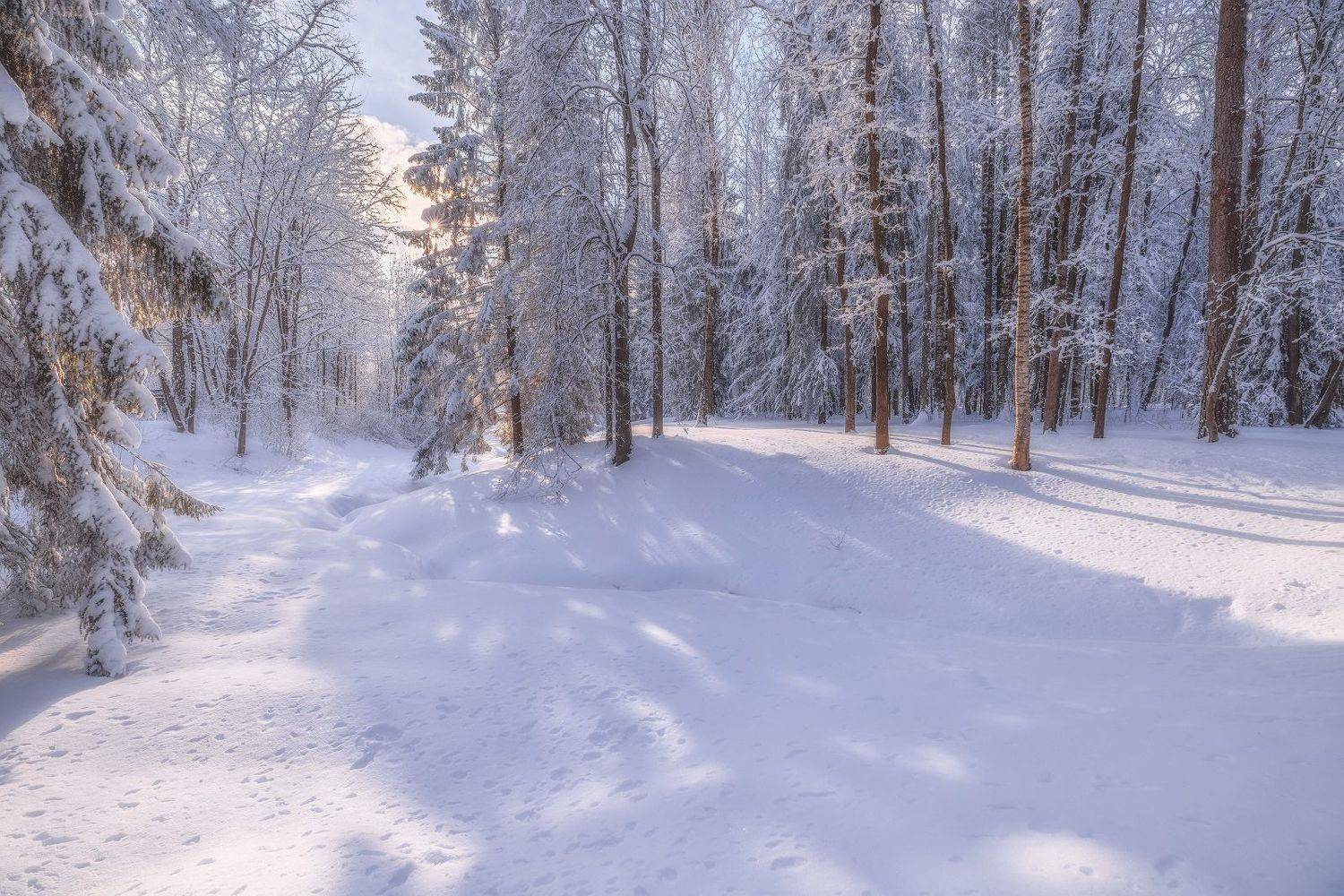 Просыпался день. Автор: Константин Скороходов павловск весна март утро снег солнце деревья небо мороз, Константин Скороходов