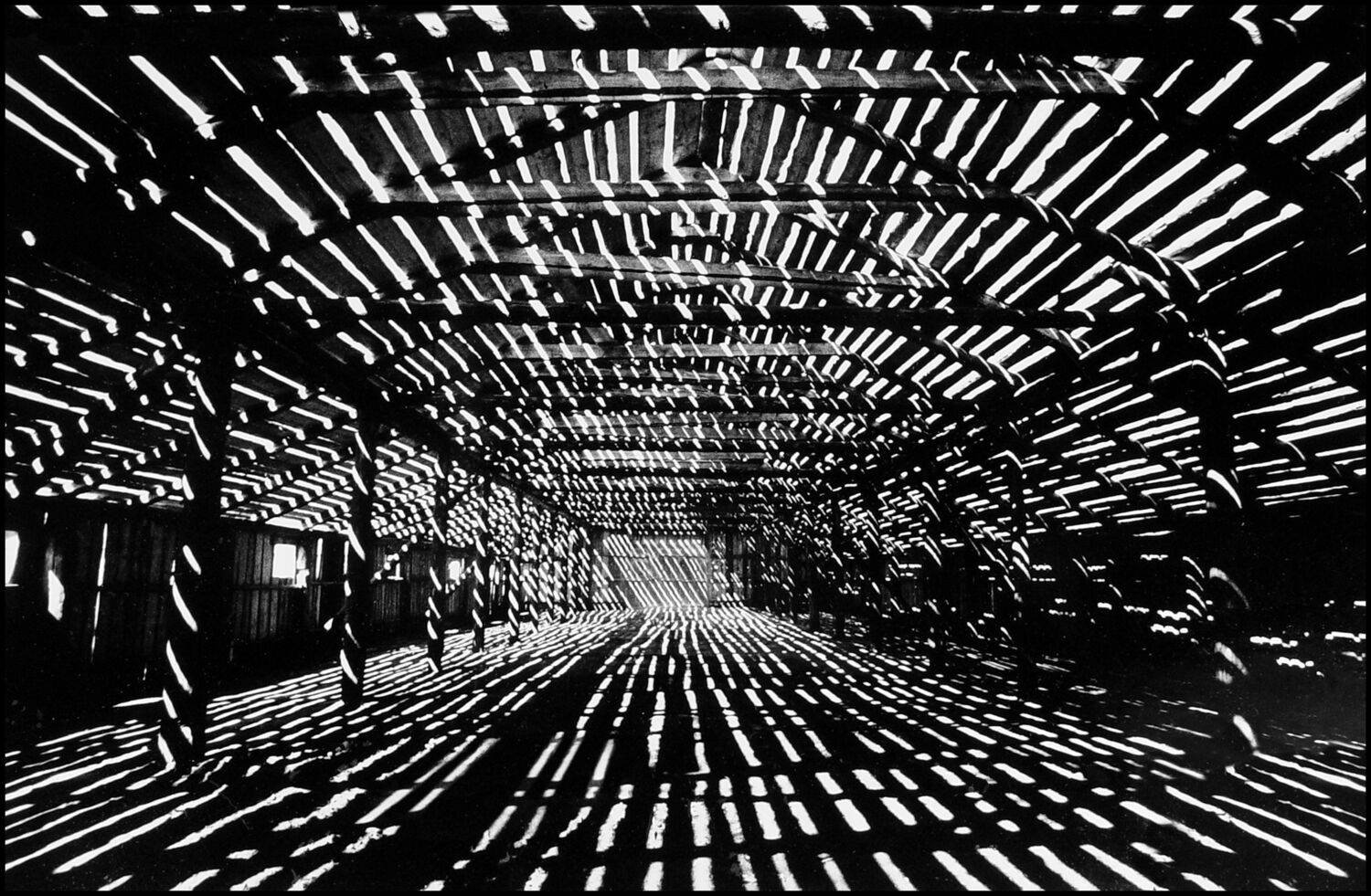 , Меднов Влад